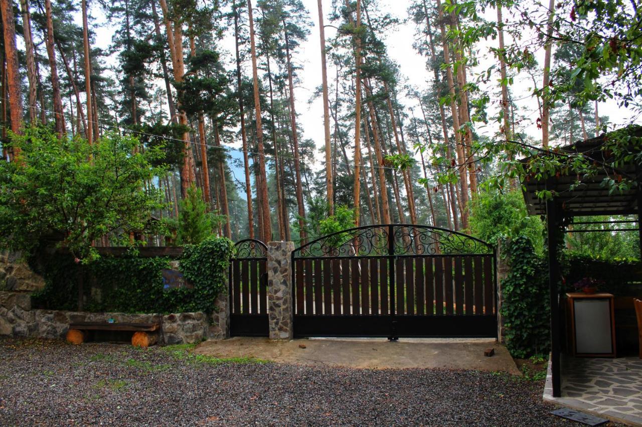 Guest House On Meskheti Боржоми Екстериор снимка