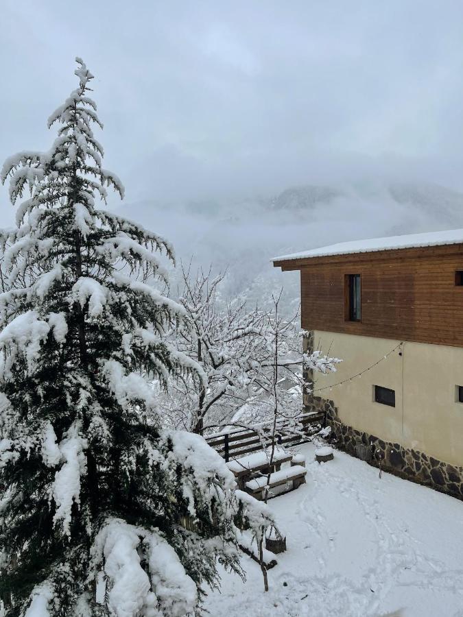 Guest House On Meskheti Боржоми Екстериор снимка