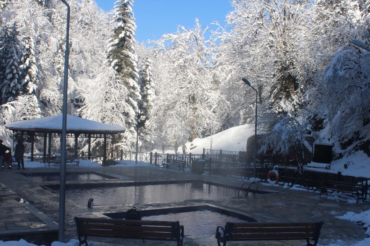 Guest House On Meskheti Боржоми Екстериор снимка