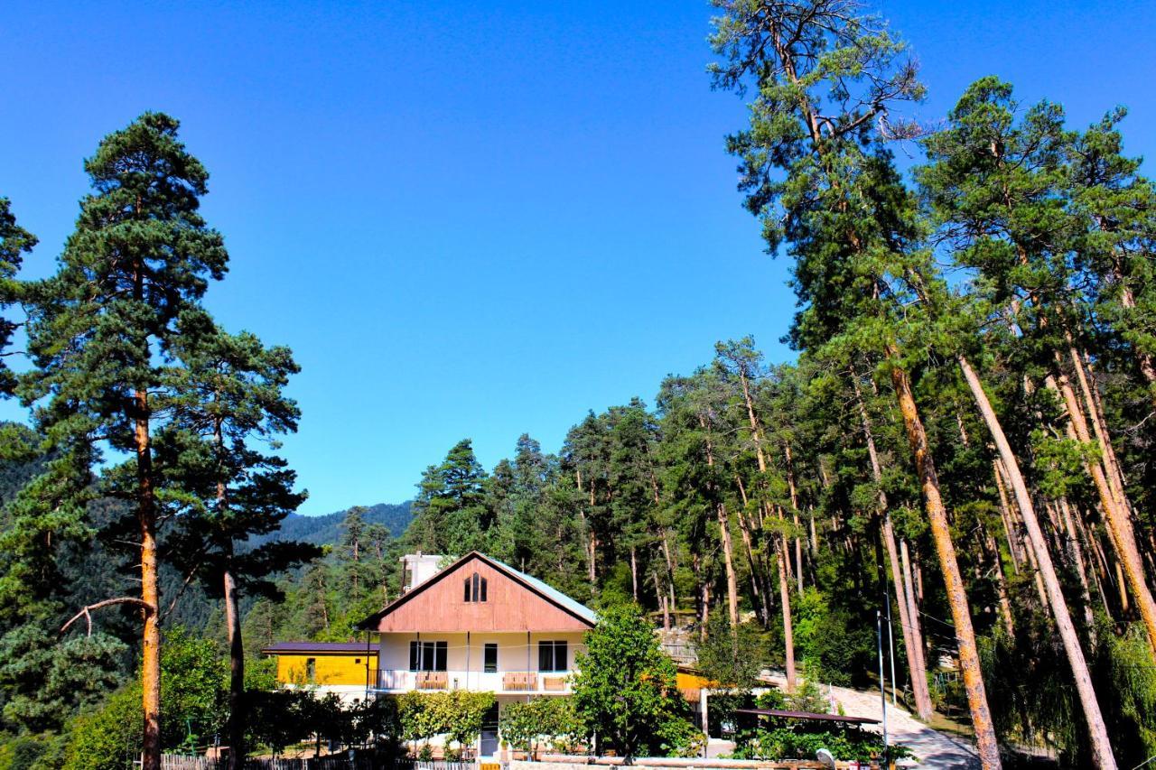 Guest House On Meskheti Боржоми Екстериор снимка