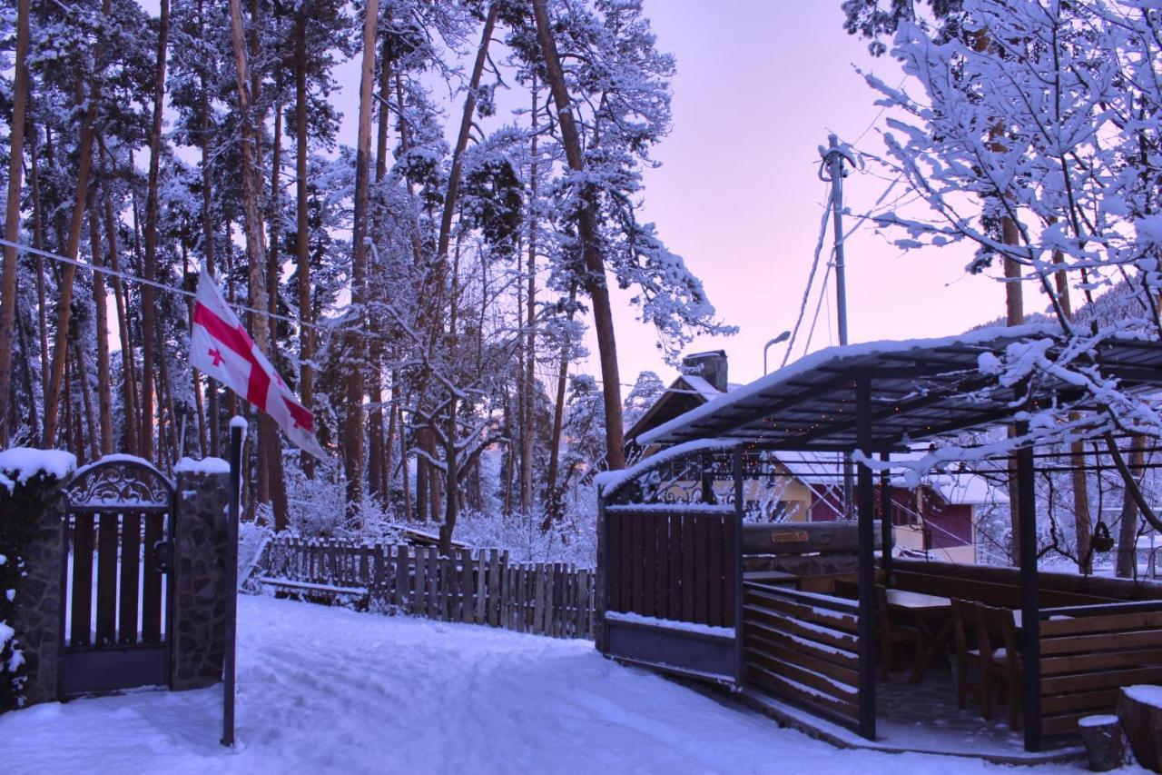 Guest House On Meskheti Боржоми Екстериор снимка